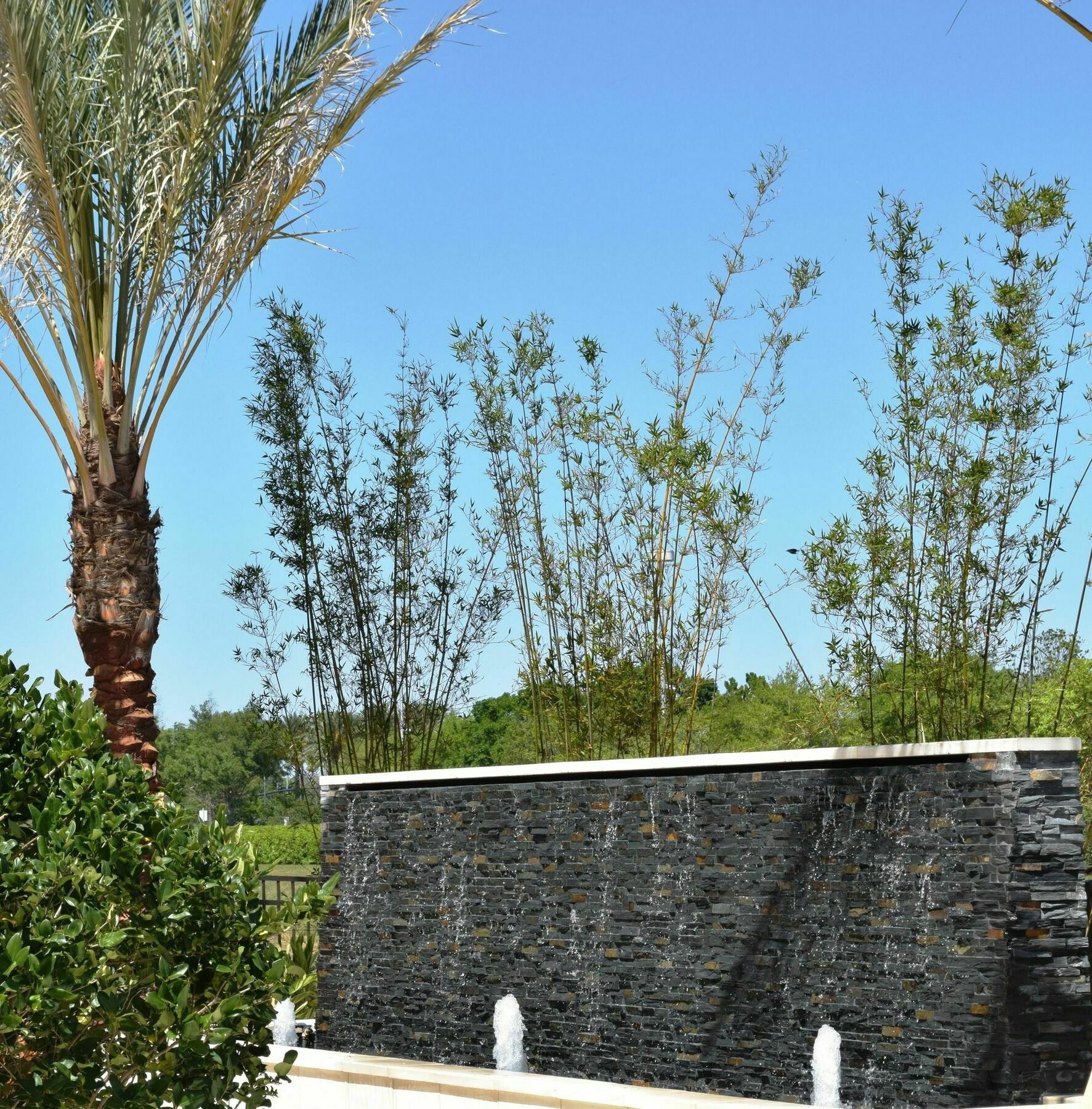 Springhill Suites By Marriott Orlando At Millenia Zewnętrze zdjęcie